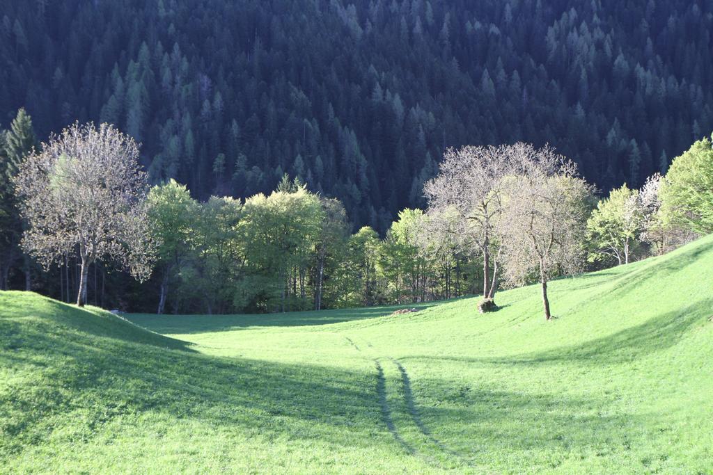 Dolomiti Di Brenta House 2 Villa Madonna di Campiglio Luaran gambar